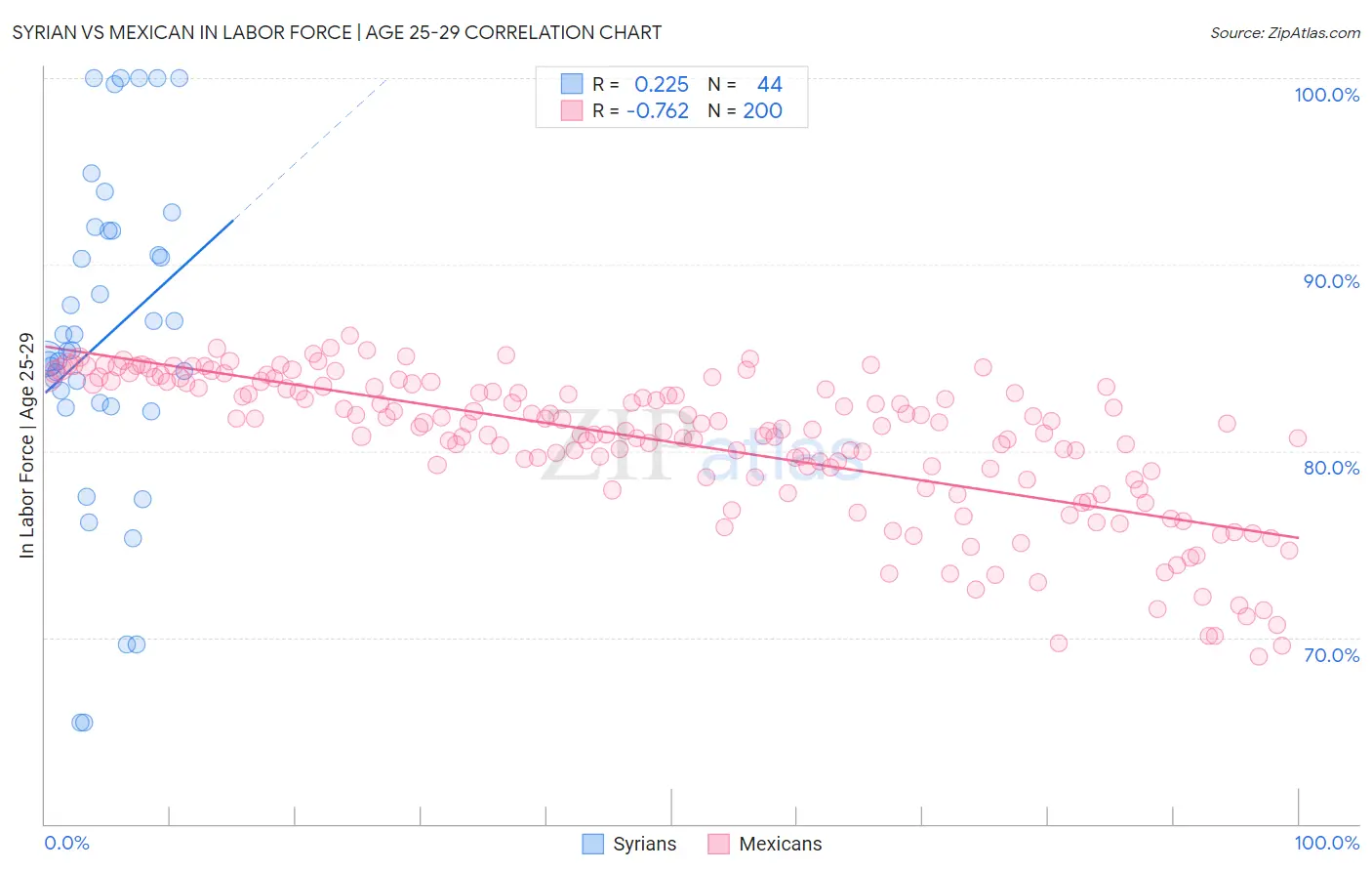 Syrian vs Mexican In Labor Force | Age 25-29