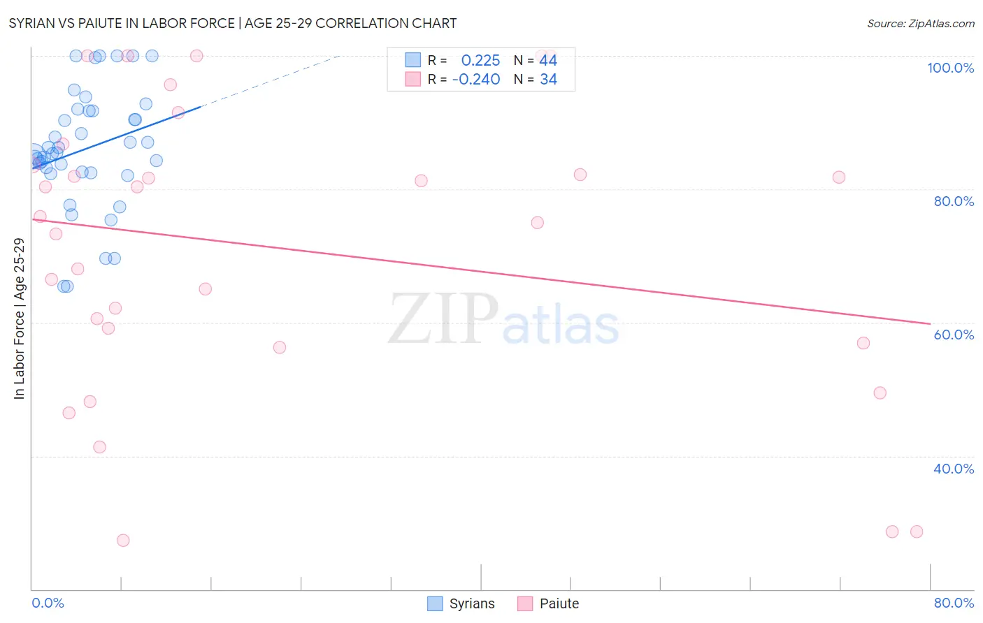 Syrian vs Paiute In Labor Force | Age 25-29
