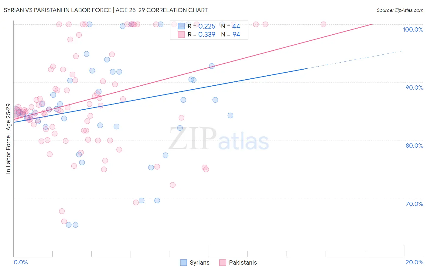 Syrian vs Pakistani In Labor Force | Age 25-29