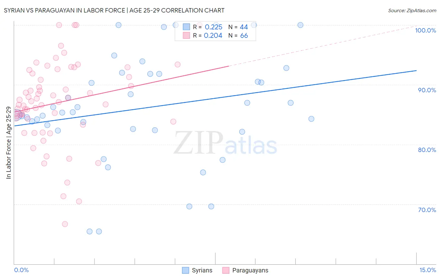 Syrian vs Paraguayan In Labor Force | Age 25-29