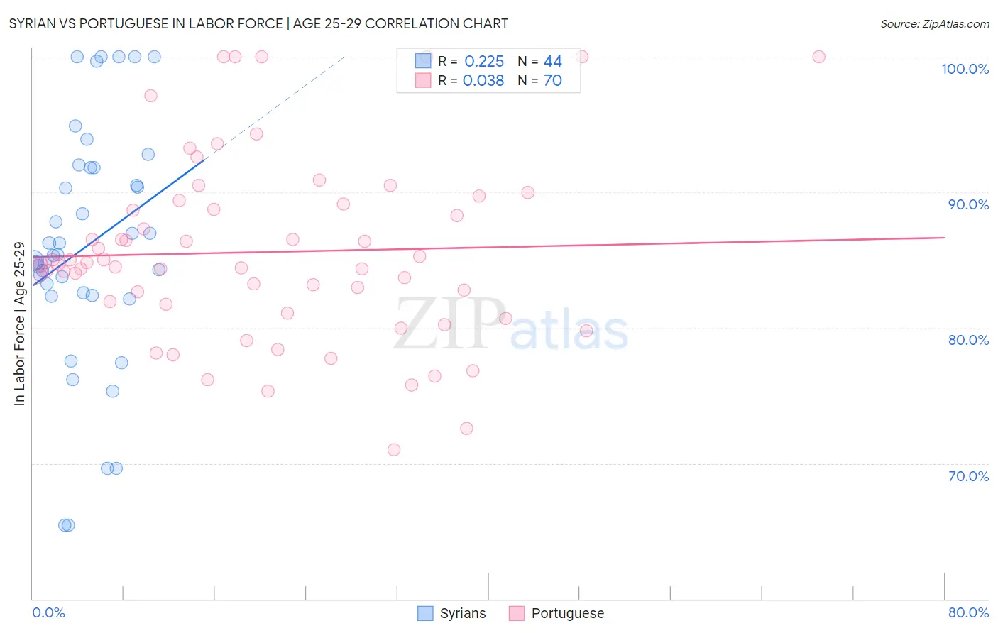 Syrian vs Portuguese In Labor Force | Age 25-29