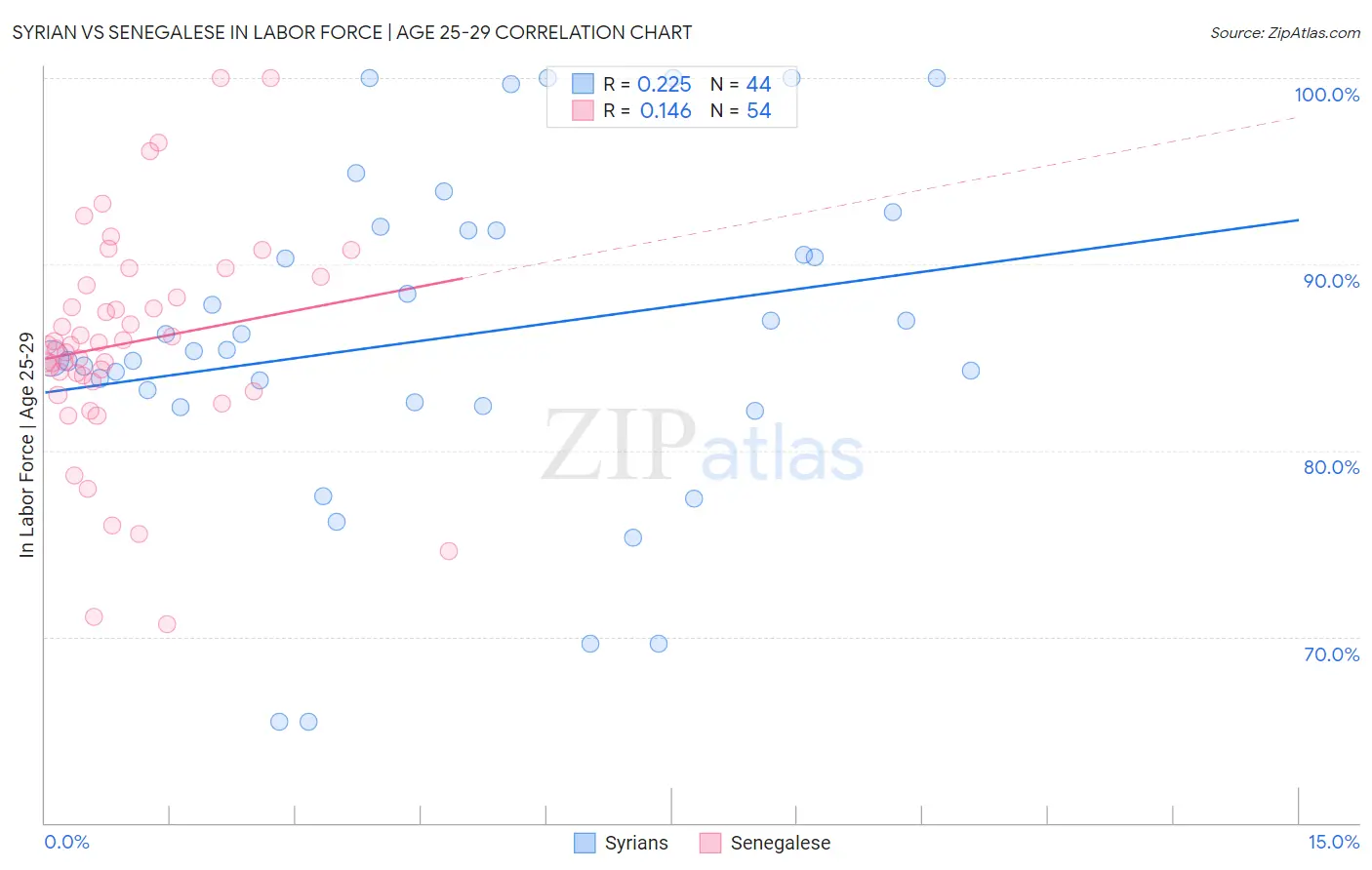 Syrian vs Senegalese In Labor Force | Age 25-29