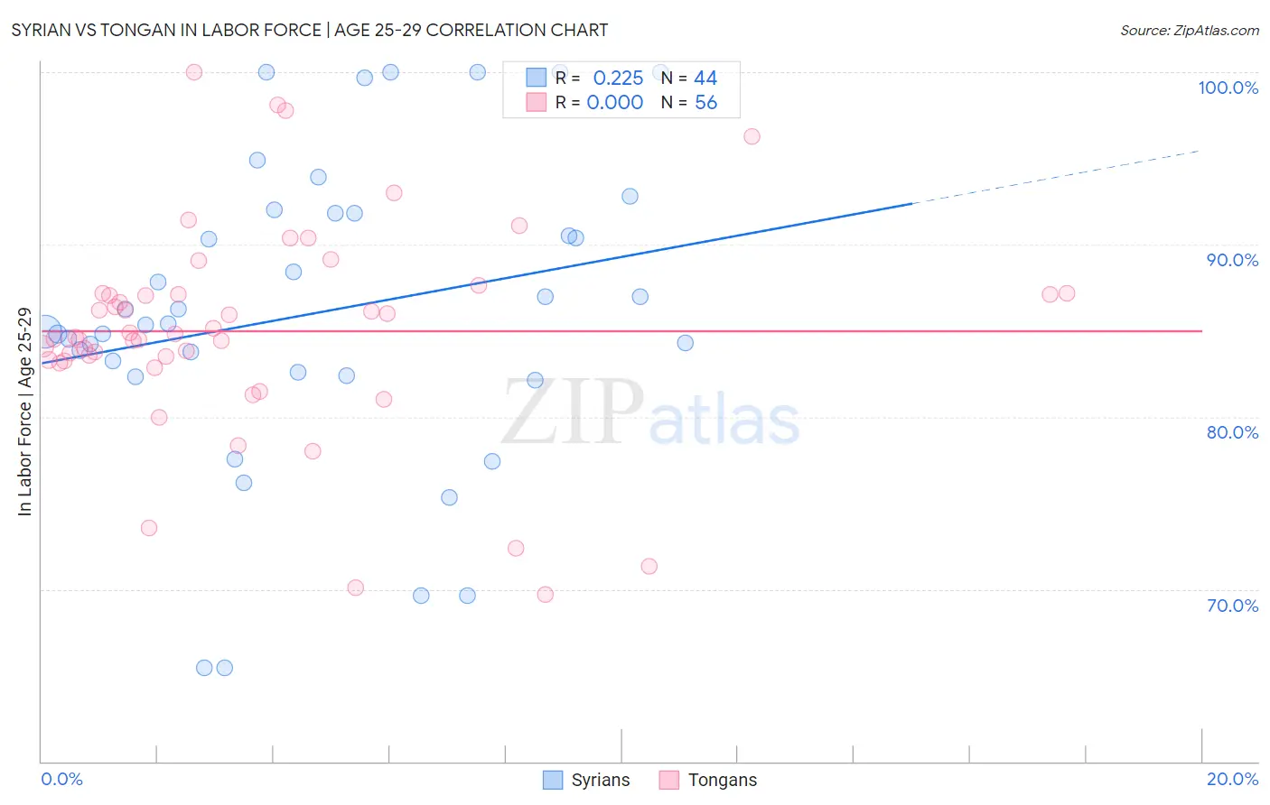 Syrian vs Tongan In Labor Force | Age 25-29