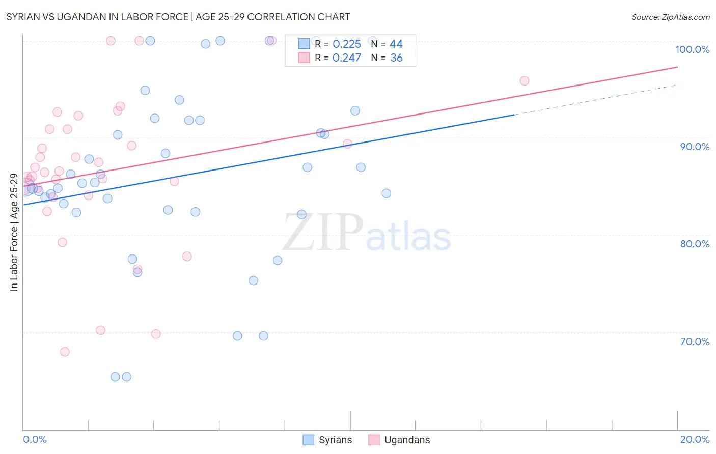 Syrian vs Ugandan In Labor Force | Age 25-29