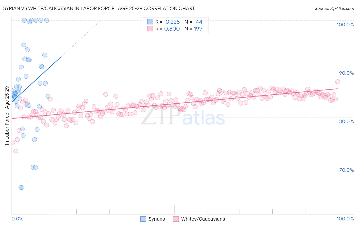 Syrian vs White/Caucasian In Labor Force | Age 25-29