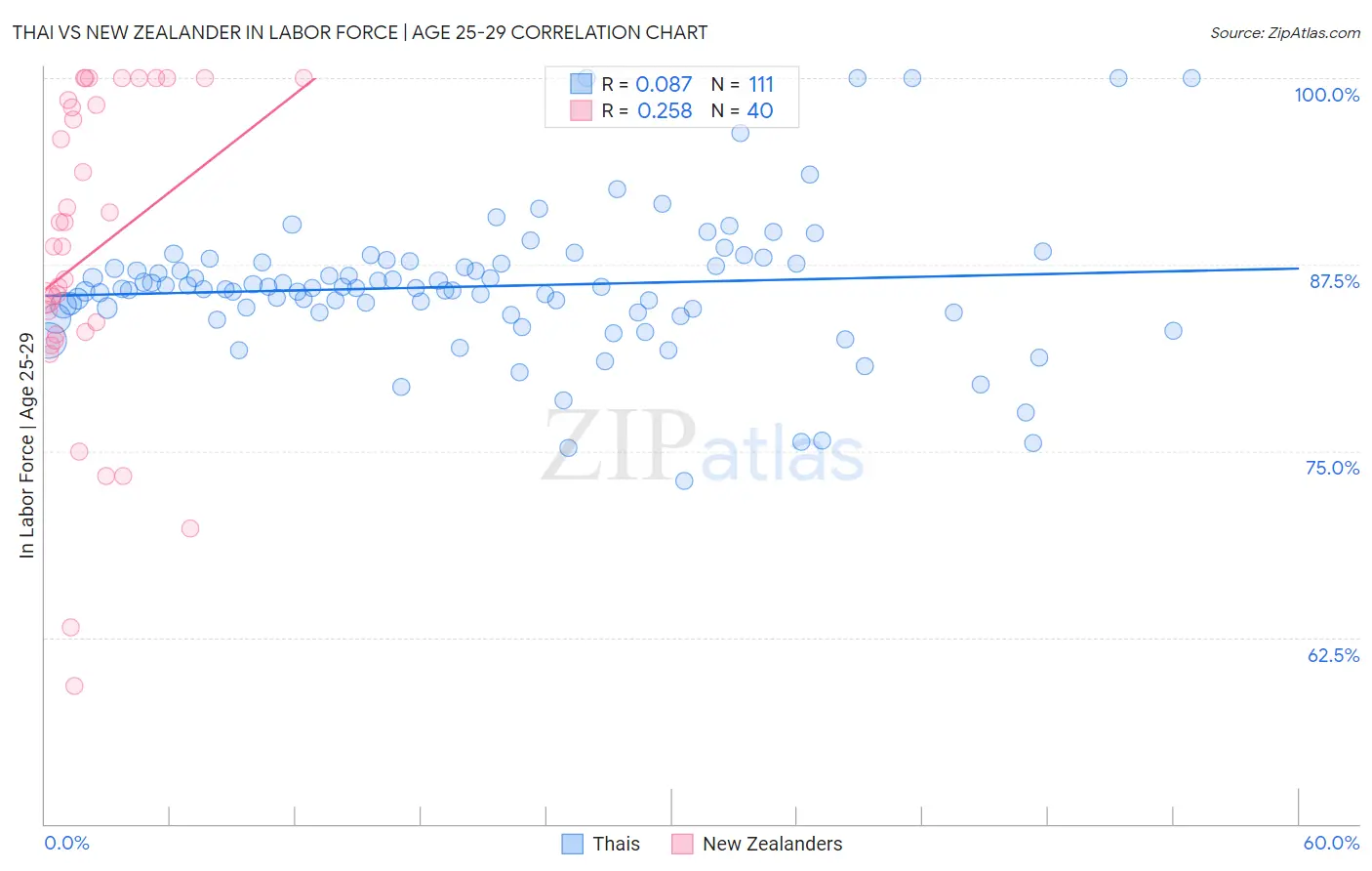 Thai vs New Zealander In Labor Force | Age 25-29