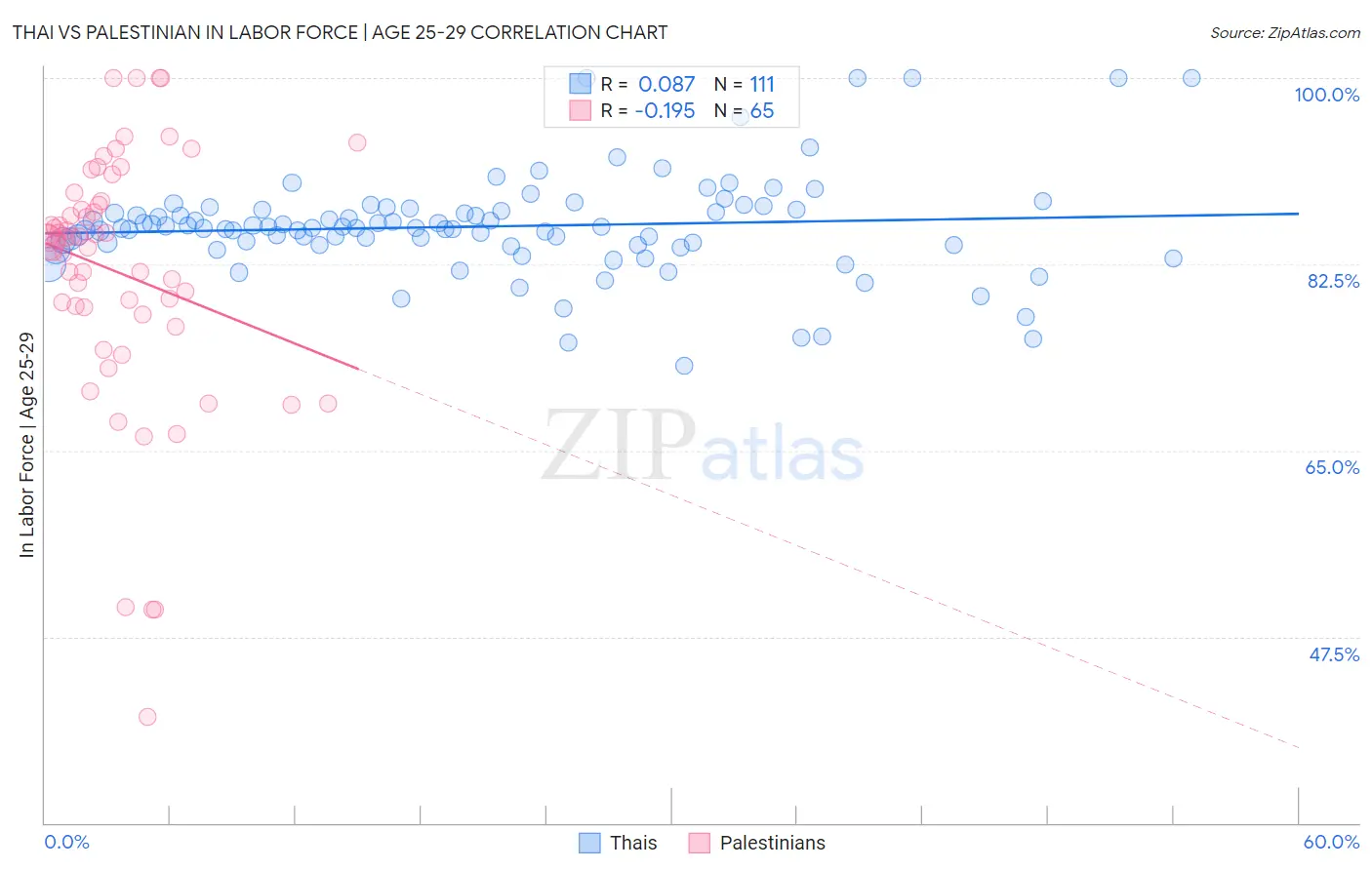 Thai vs Palestinian In Labor Force | Age 25-29