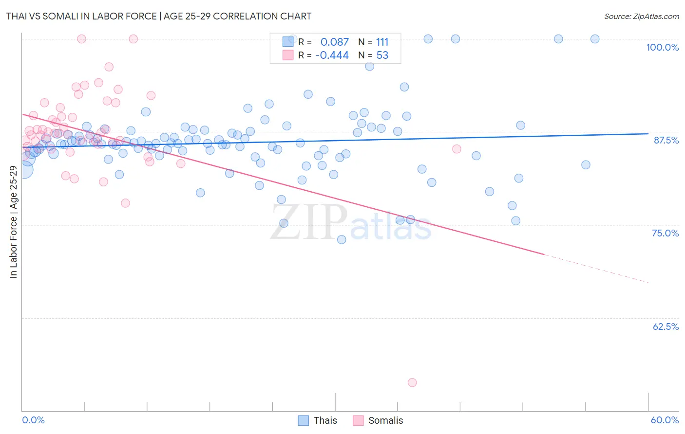 Thai vs Somali In Labor Force | Age 25-29