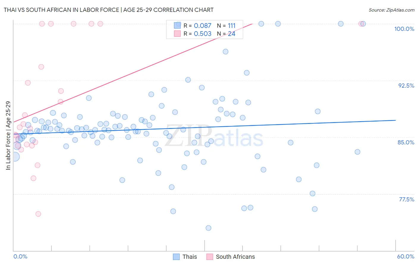 Thai vs South African In Labor Force | Age 25-29