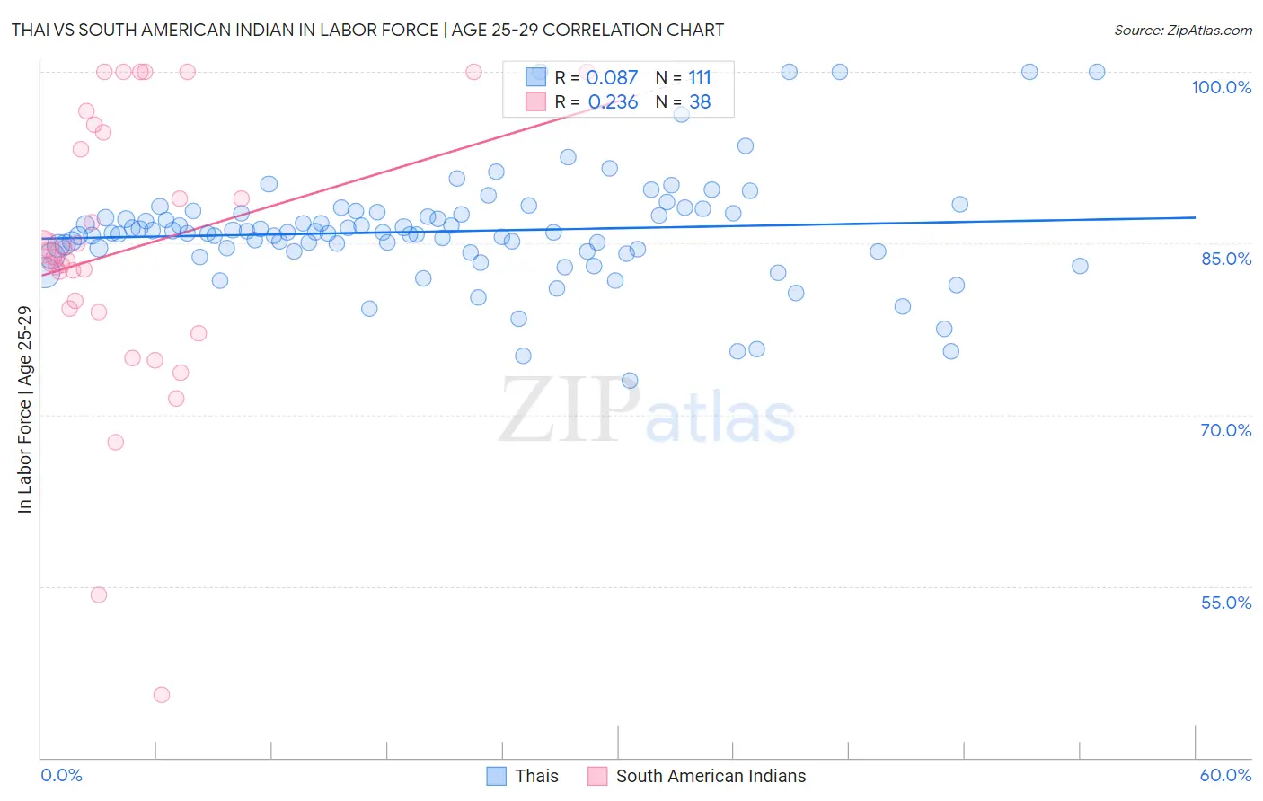 Thai vs South American Indian In Labor Force | Age 25-29