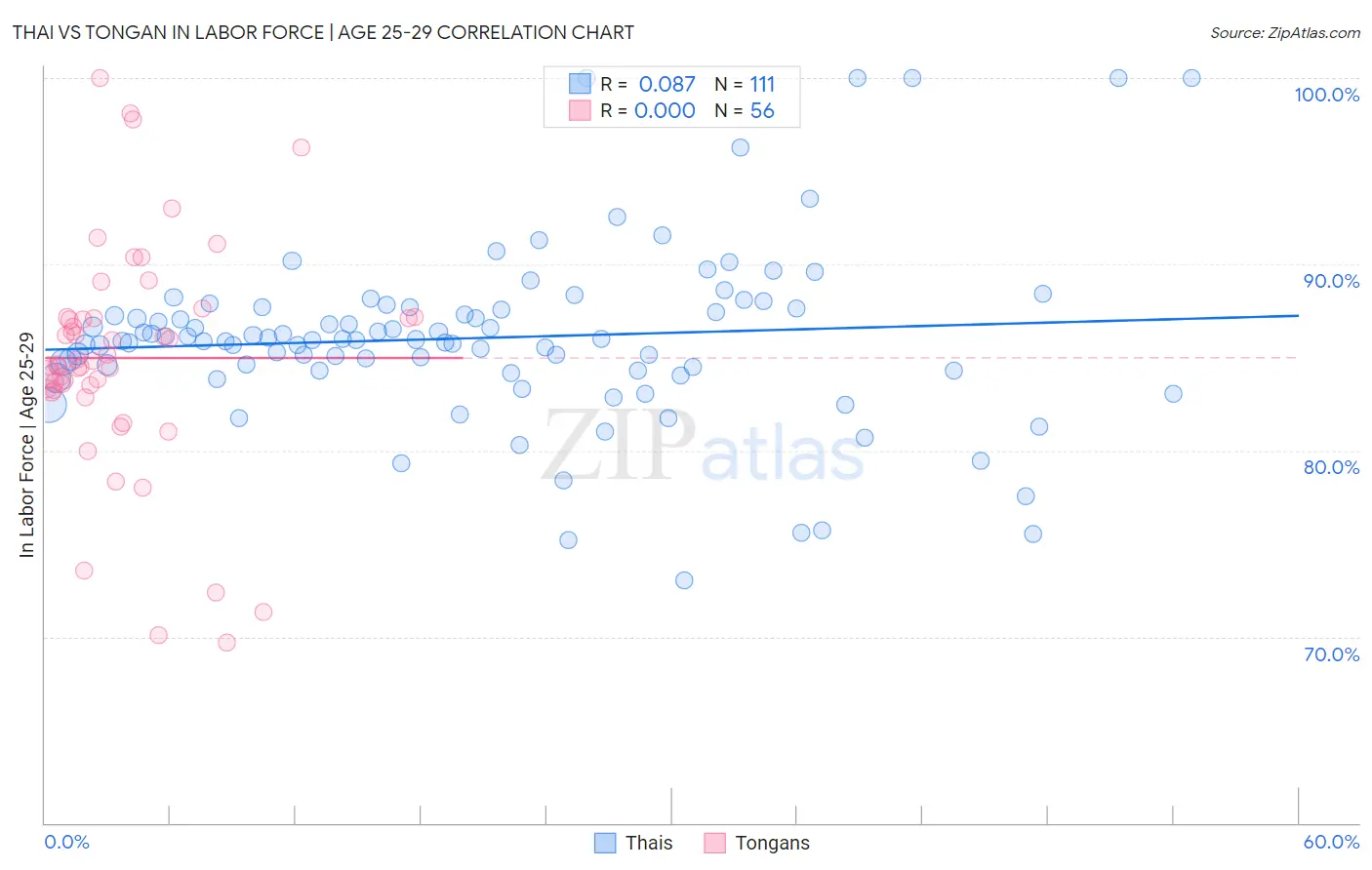 Thai vs Tongan In Labor Force | Age 25-29