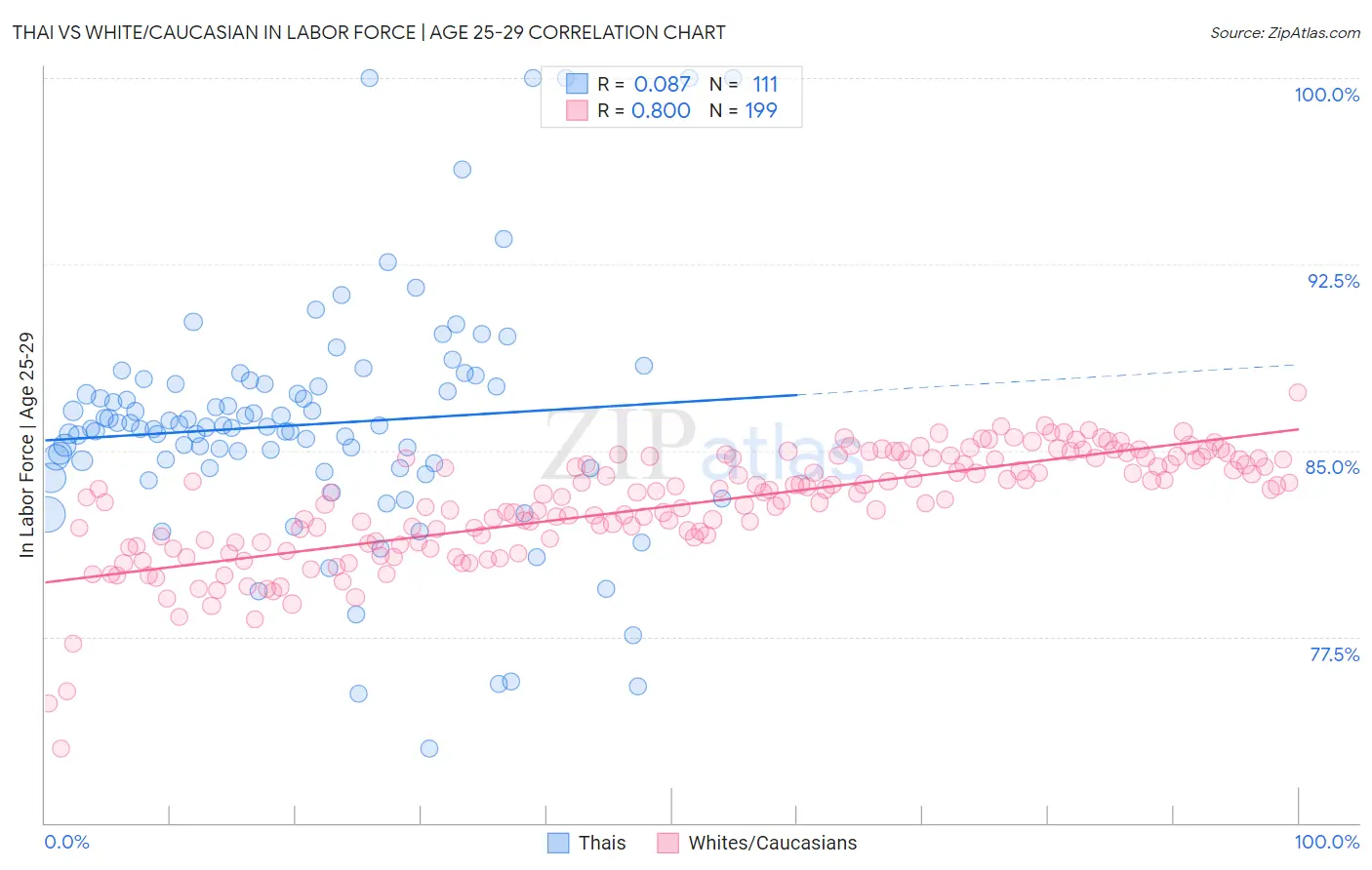 Thai vs White/Caucasian In Labor Force | Age 25-29