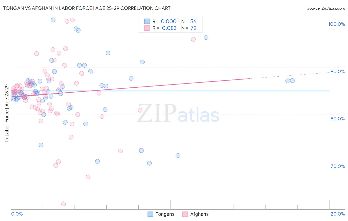 Tongan vs Afghan In Labor Force | Age 25-29