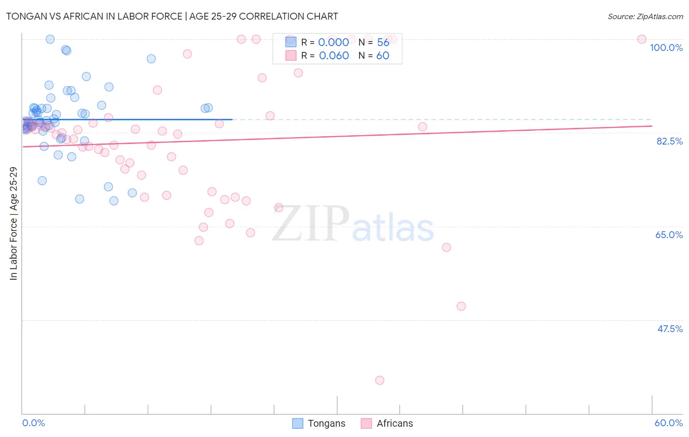 Tongan vs African In Labor Force | Age 25-29