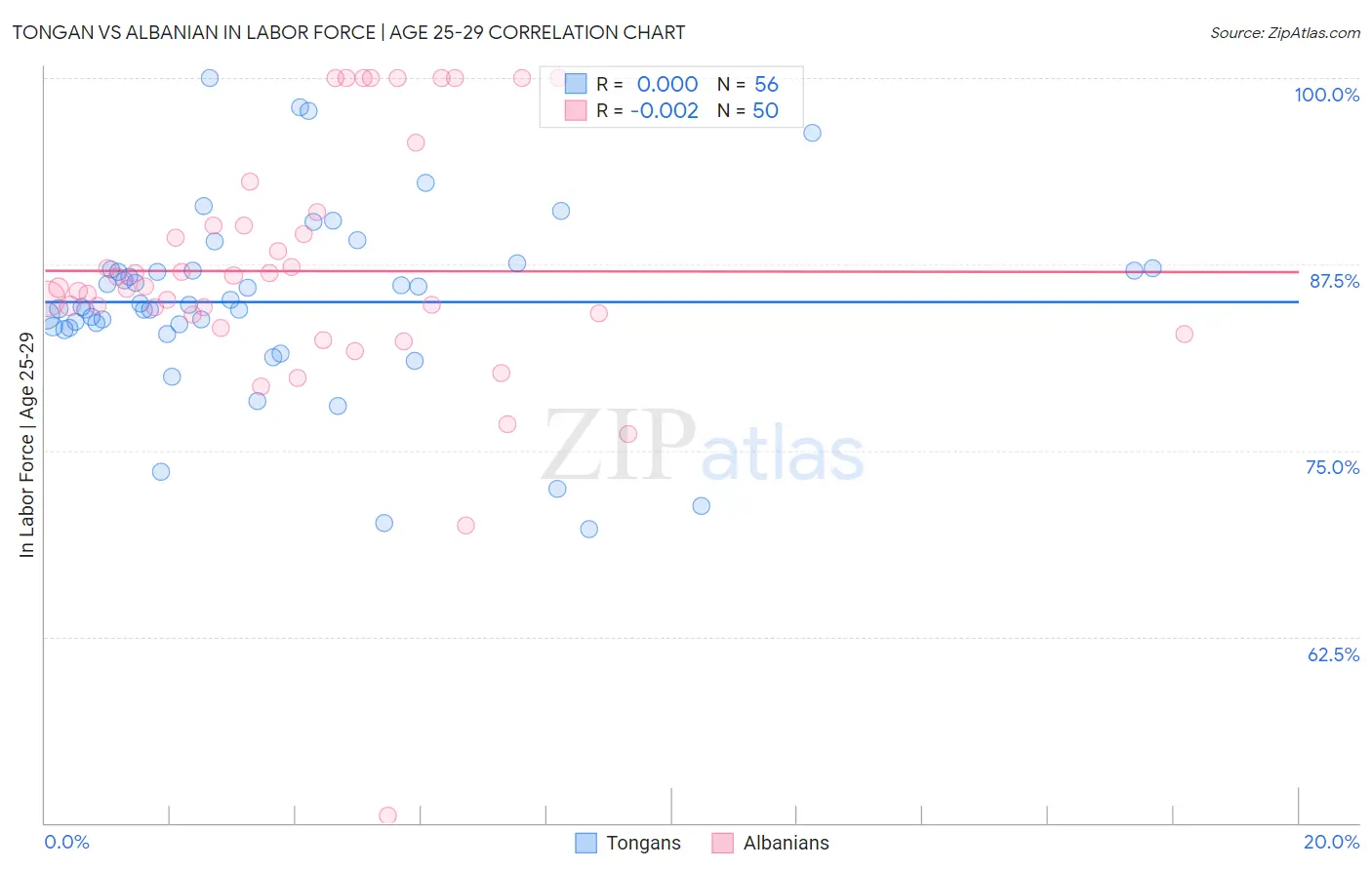 Tongan vs Albanian In Labor Force | Age 25-29
