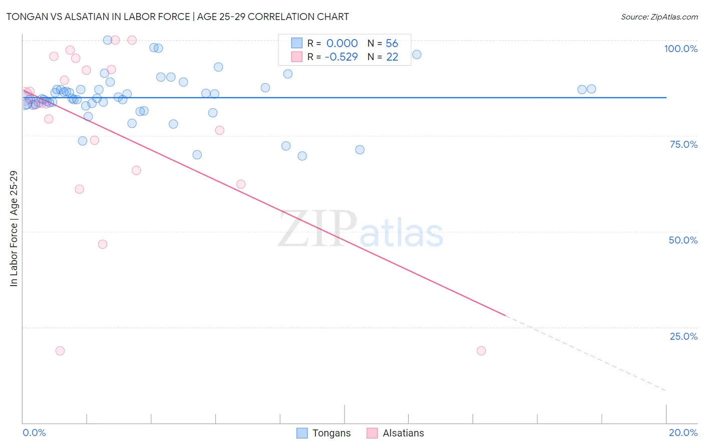 Tongan vs Alsatian In Labor Force | Age 25-29