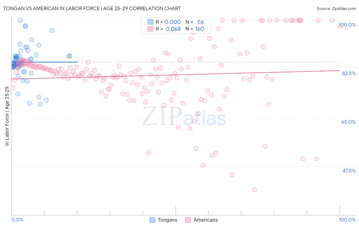 Tongan vs American In Labor Force | Age 25-29
