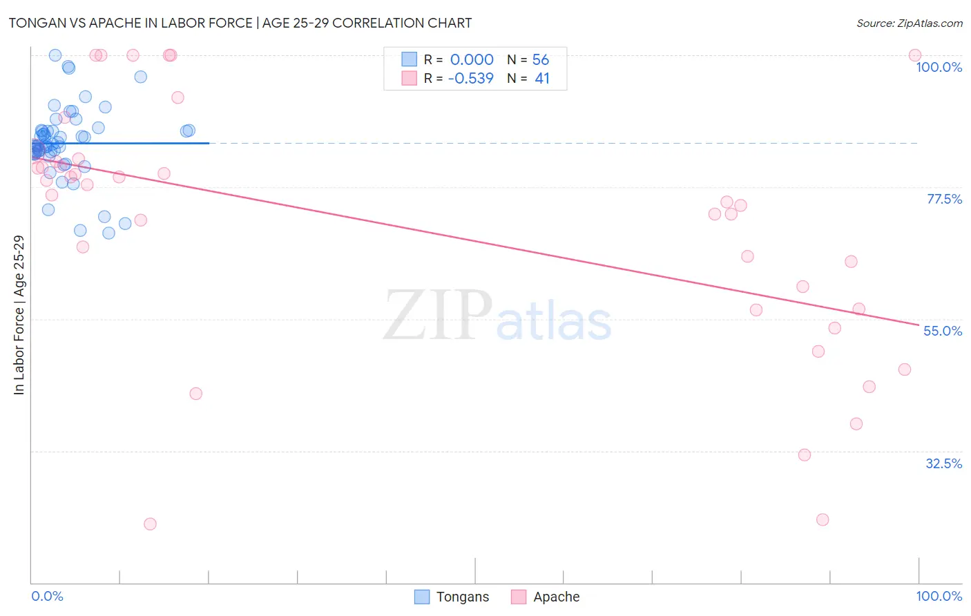 Tongan vs Apache In Labor Force | Age 25-29