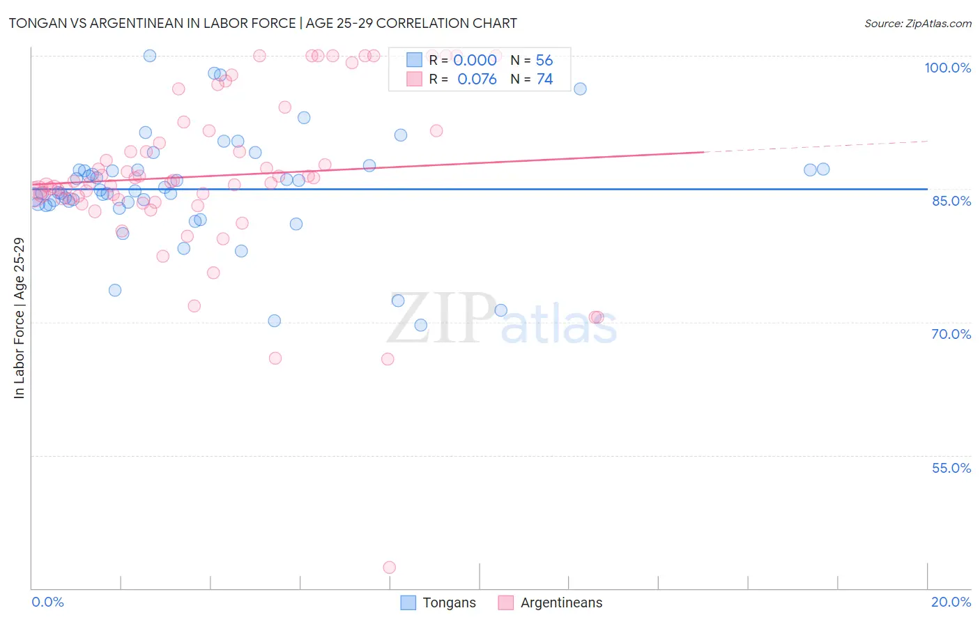 Tongan vs Argentinean In Labor Force | Age 25-29