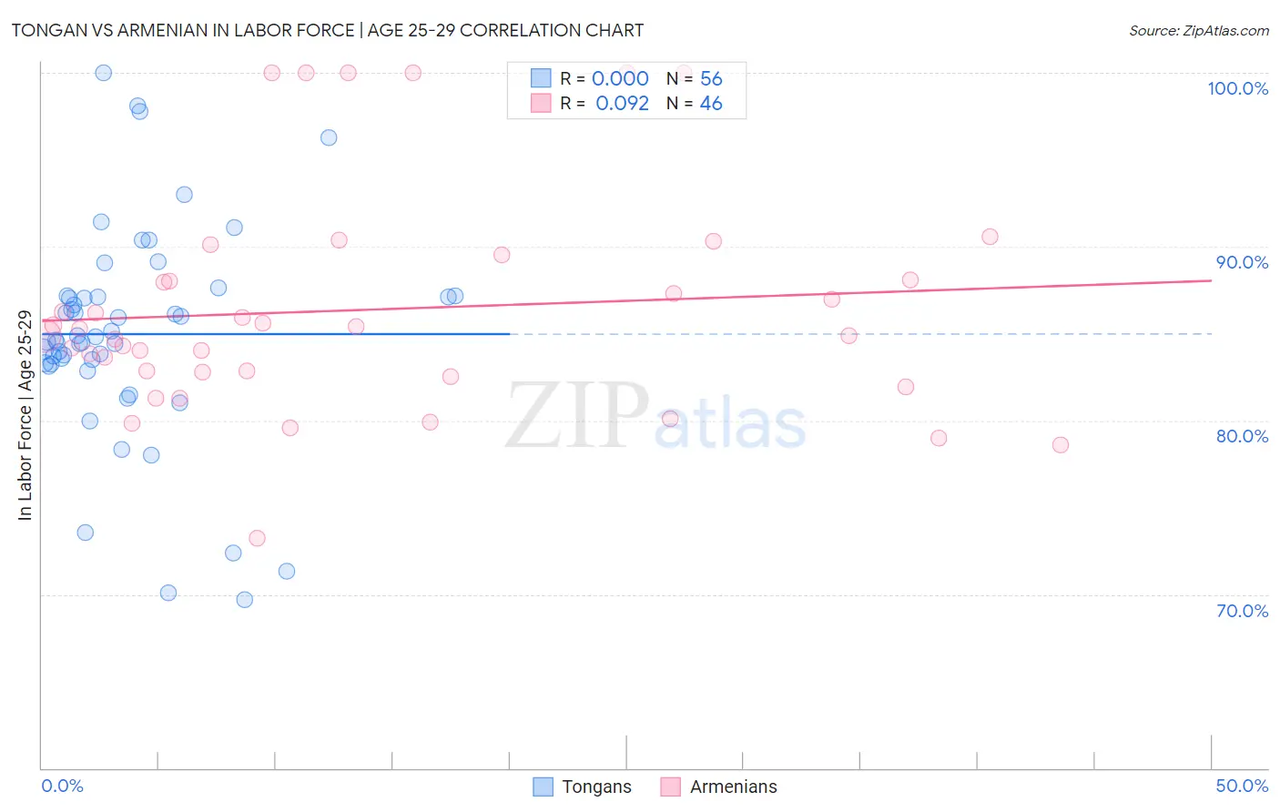 Tongan vs Armenian In Labor Force | Age 25-29