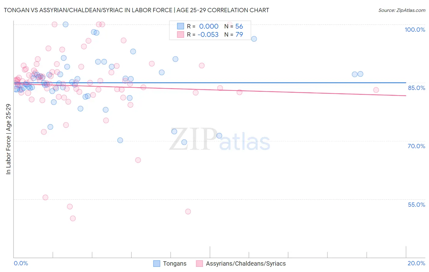 Tongan vs Assyrian/Chaldean/Syriac In Labor Force | Age 25-29