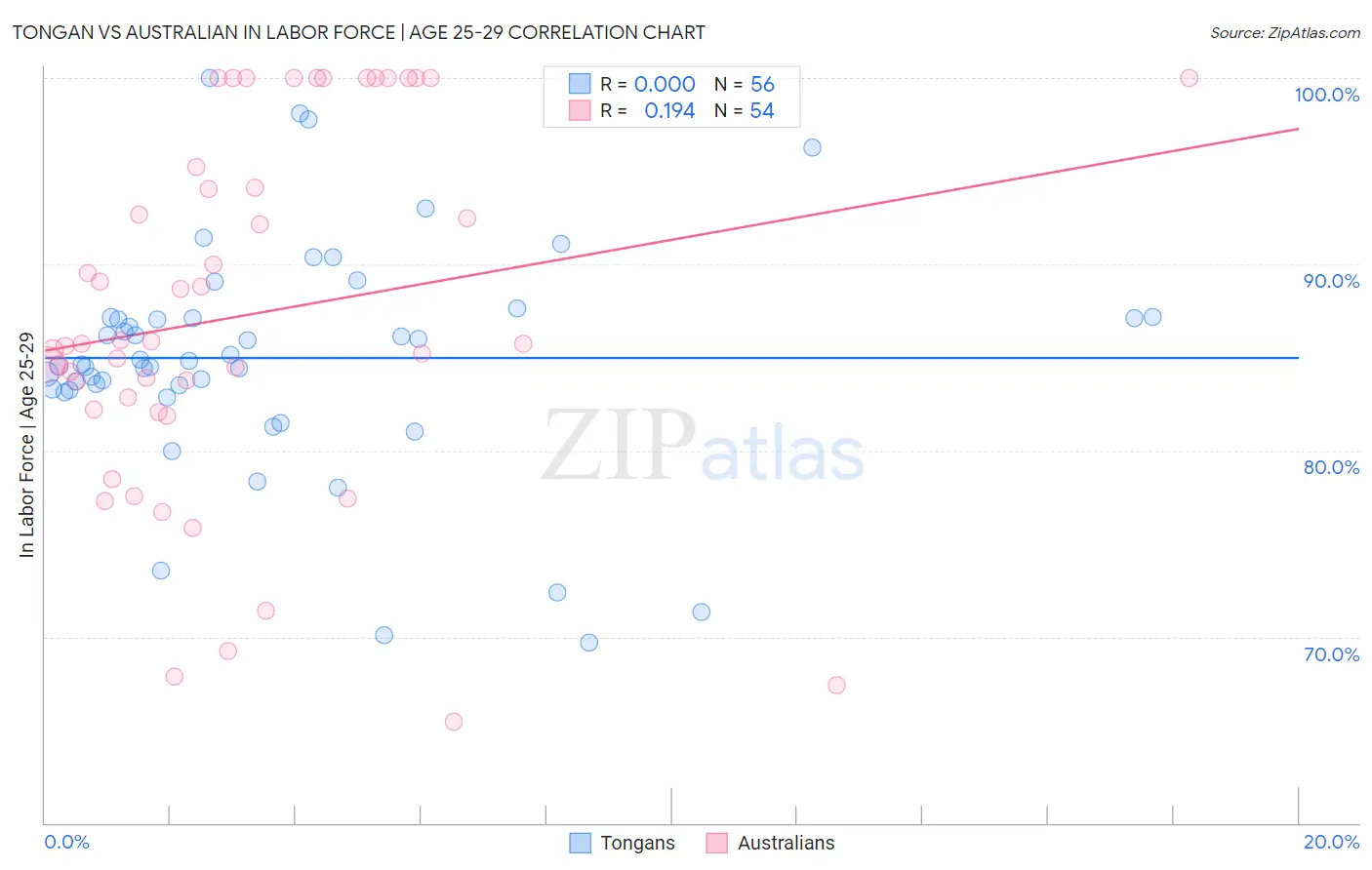 Tongan vs Australian In Labor Force | Age 25-29