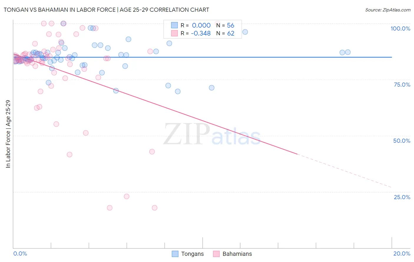 Tongan vs Bahamian In Labor Force | Age 25-29