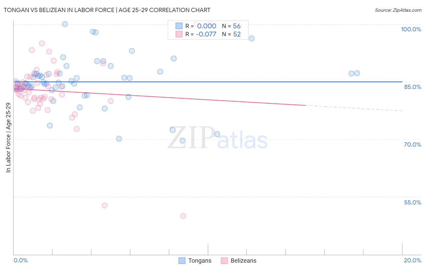 Tongan vs Belizean In Labor Force | Age 25-29
