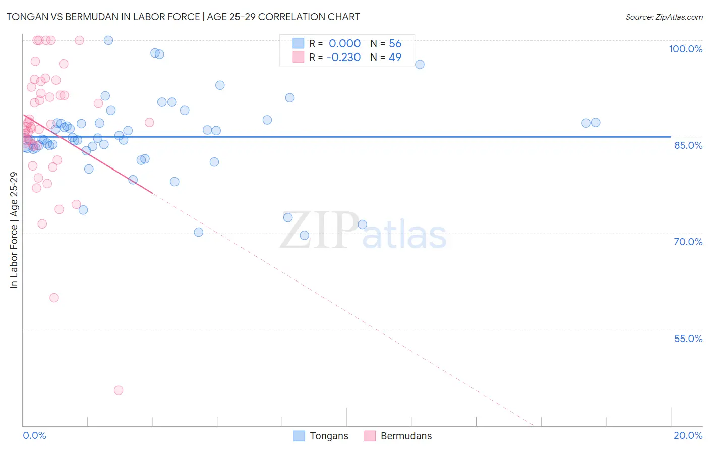 Tongan vs Bermudan In Labor Force | Age 25-29