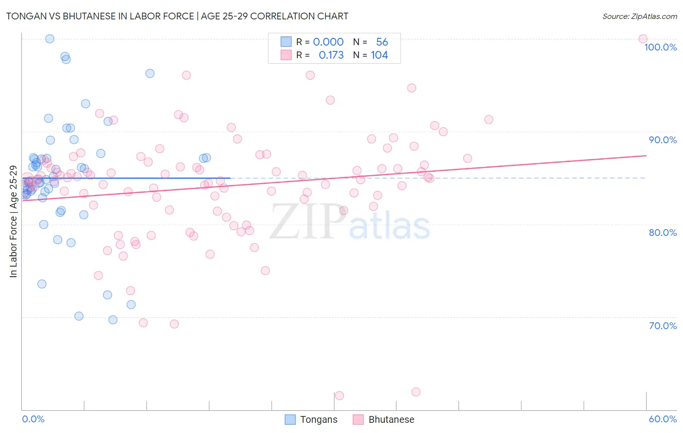 Tongan vs Bhutanese In Labor Force | Age 25-29