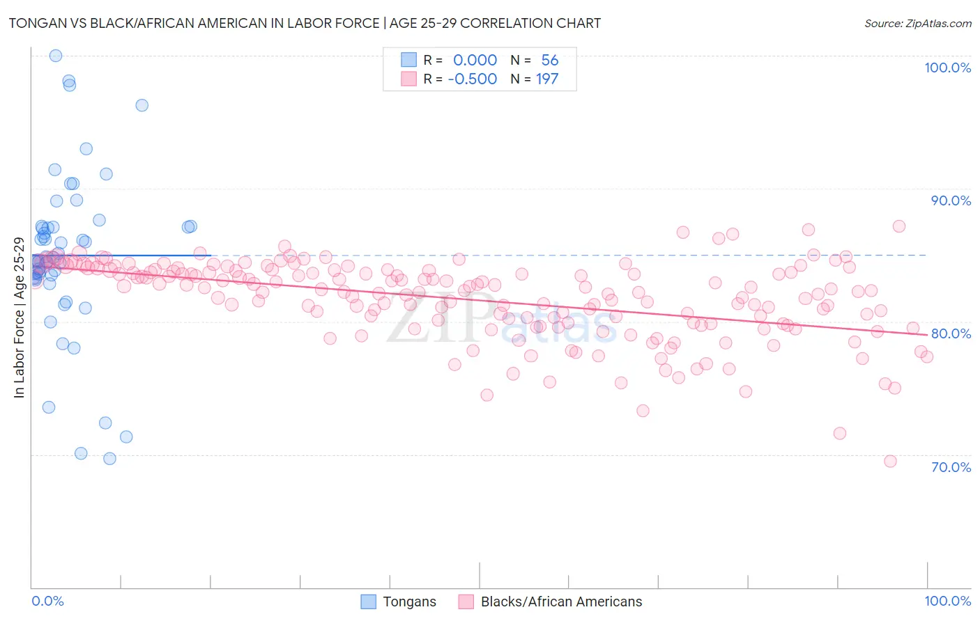 Tongan vs Black/African American In Labor Force | Age 25-29
