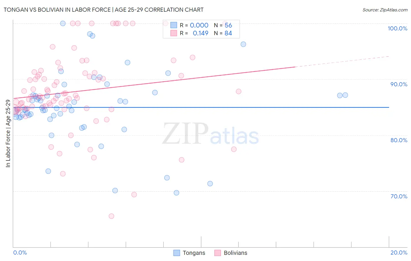 Tongan vs Bolivian In Labor Force | Age 25-29