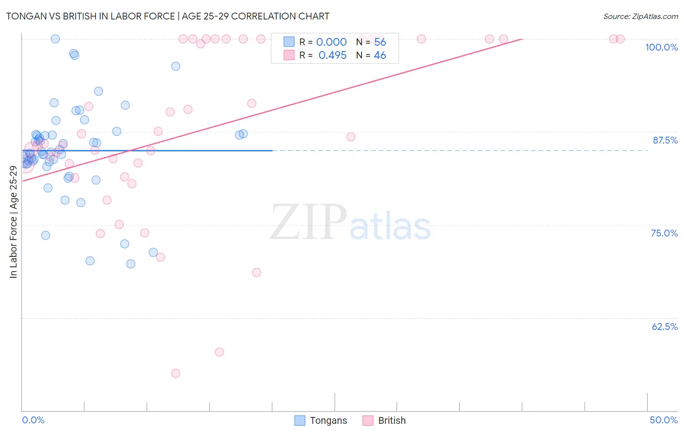 Tongan vs British In Labor Force | Age 25-29