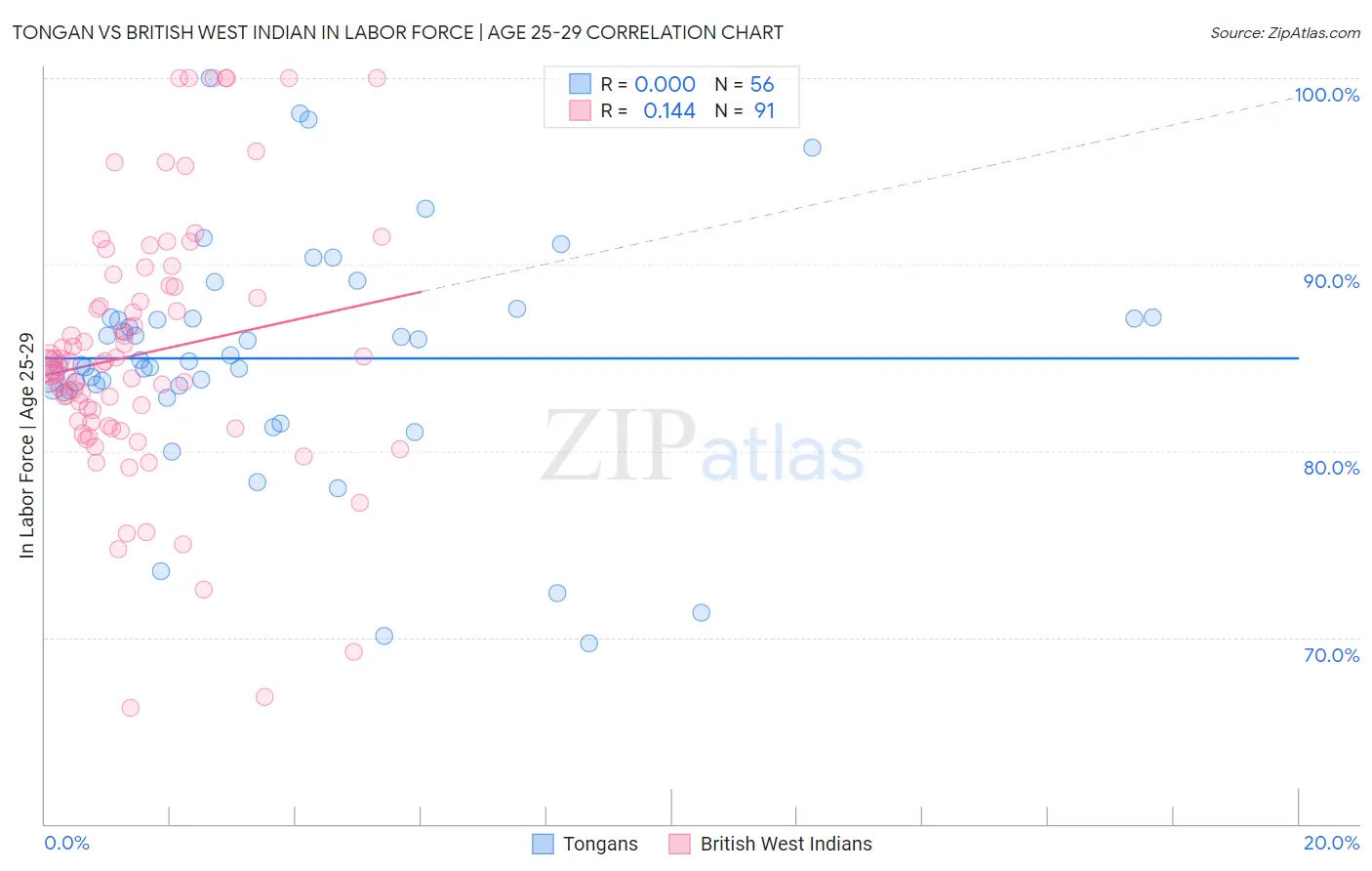Tongan vs British West Indian In Labor Force | Age 25-29