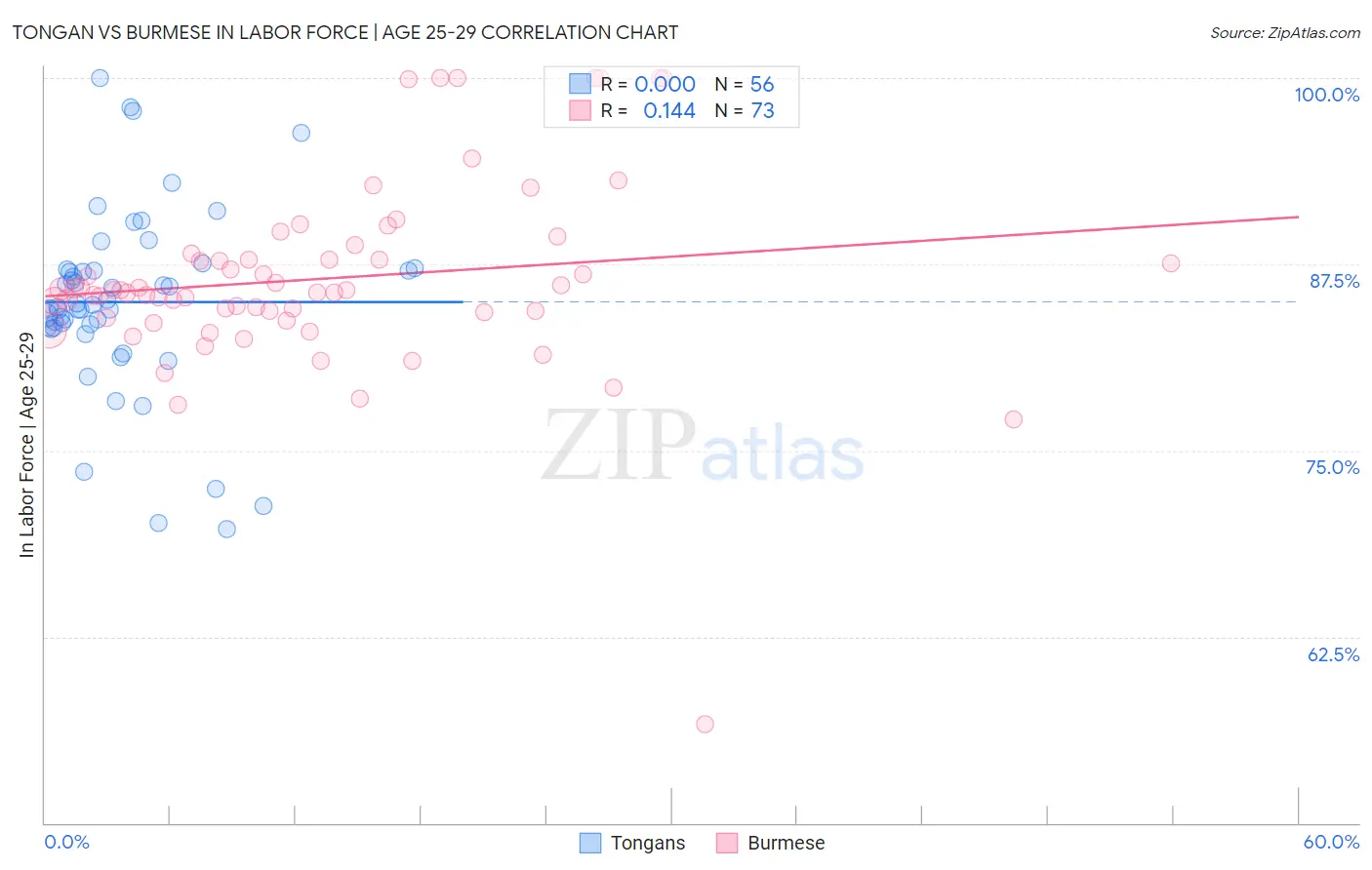 Tongan vs Burmese In Labor Force | Age 25-29