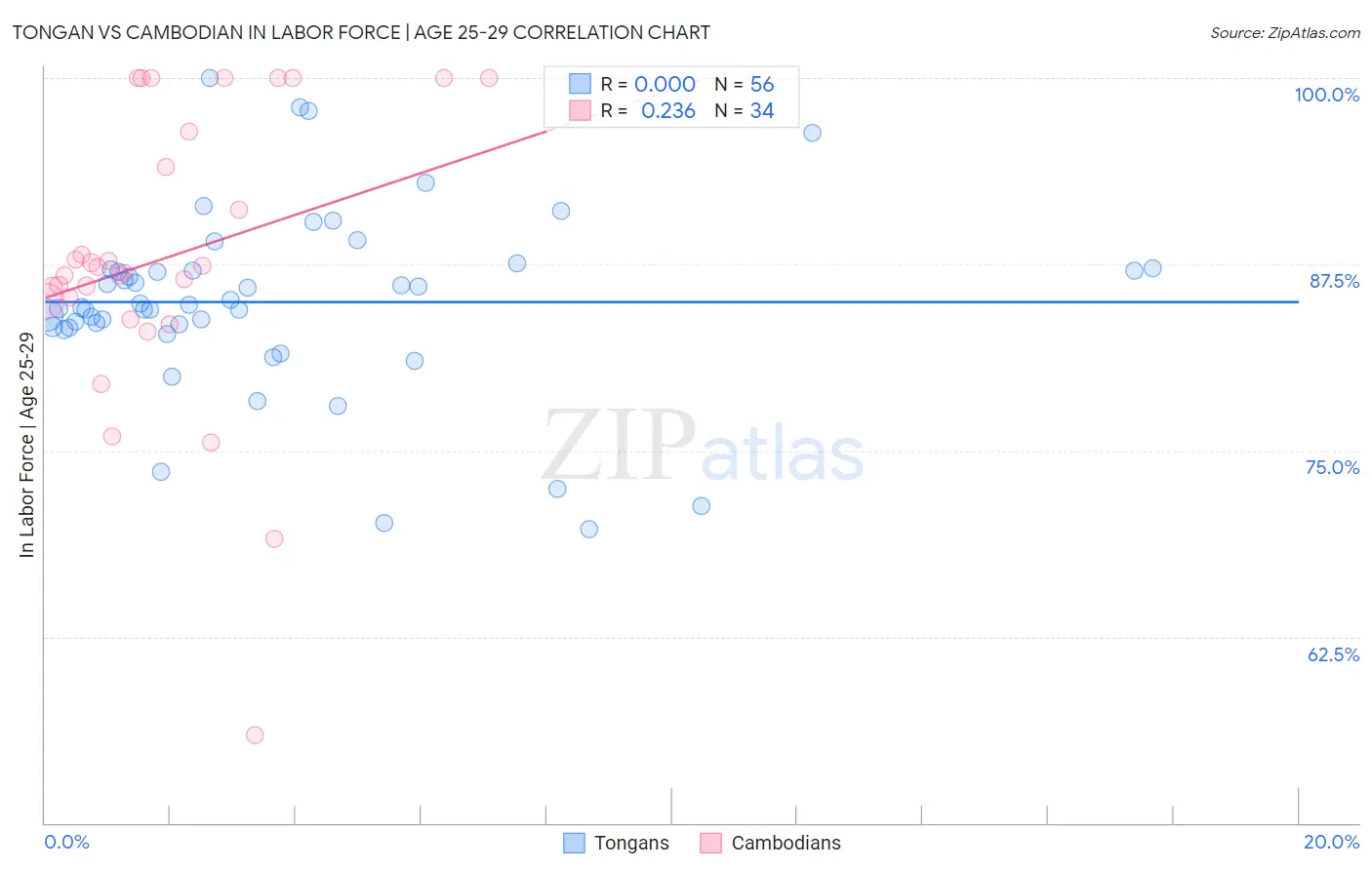 Tongan vs Cambodian In Labor Force | Age 25-29