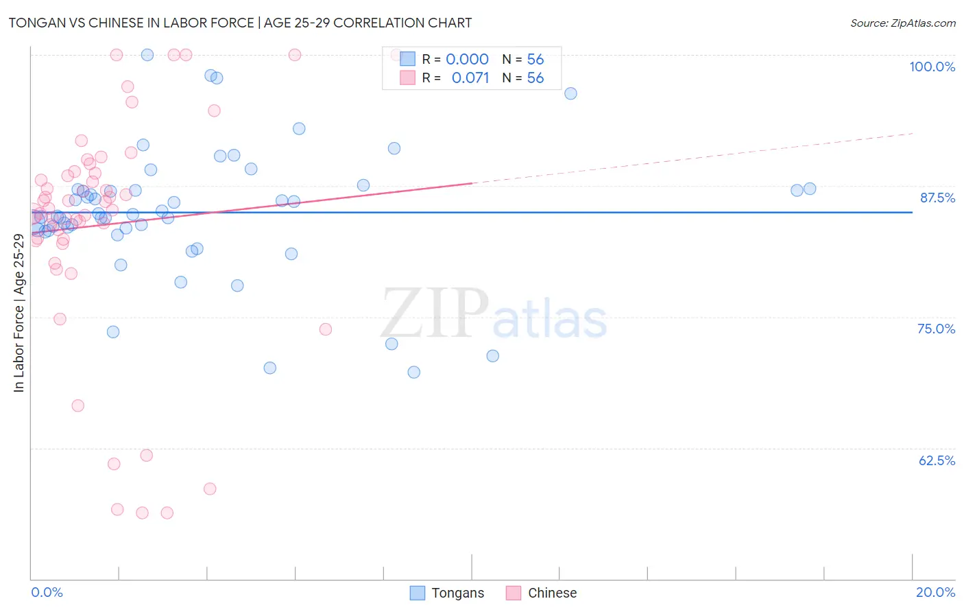 Tongan vs Chinese In Labor Force | Age 25-29
