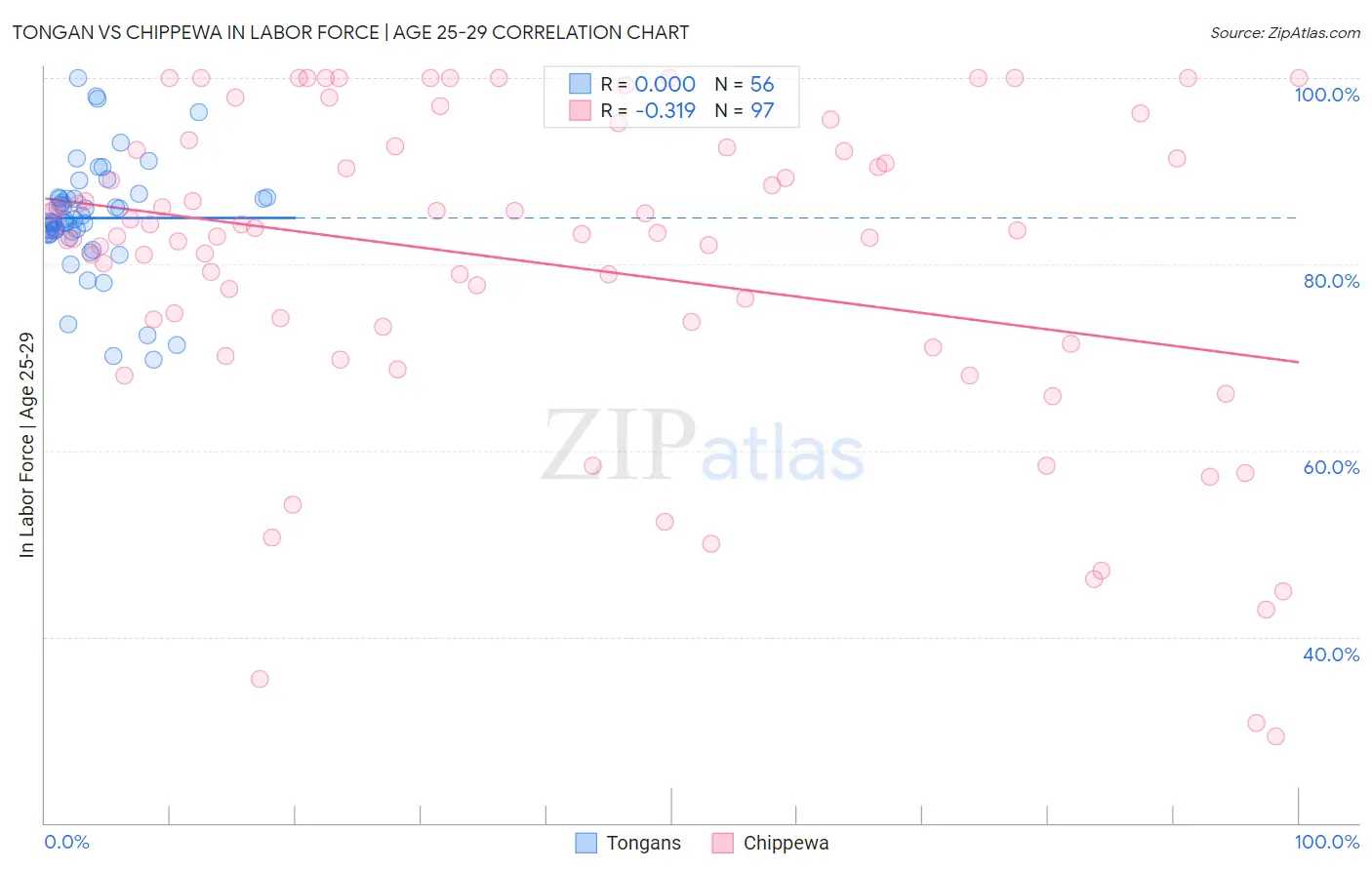 Tongan vs Chippewa In Labor Force | Age 25-29