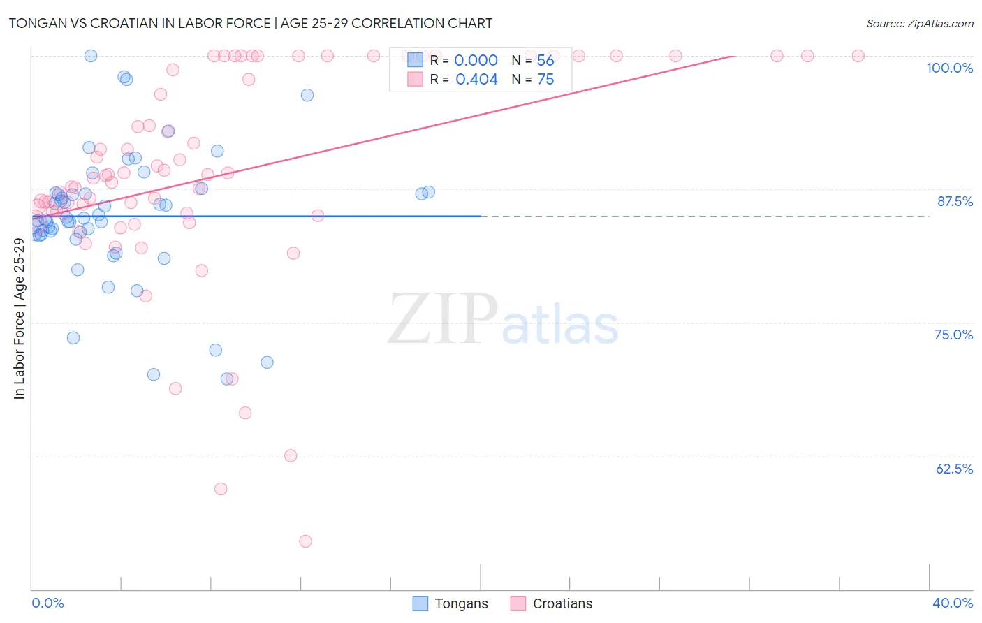 Tongan vs Croatian In Labor Force | Age 25-29