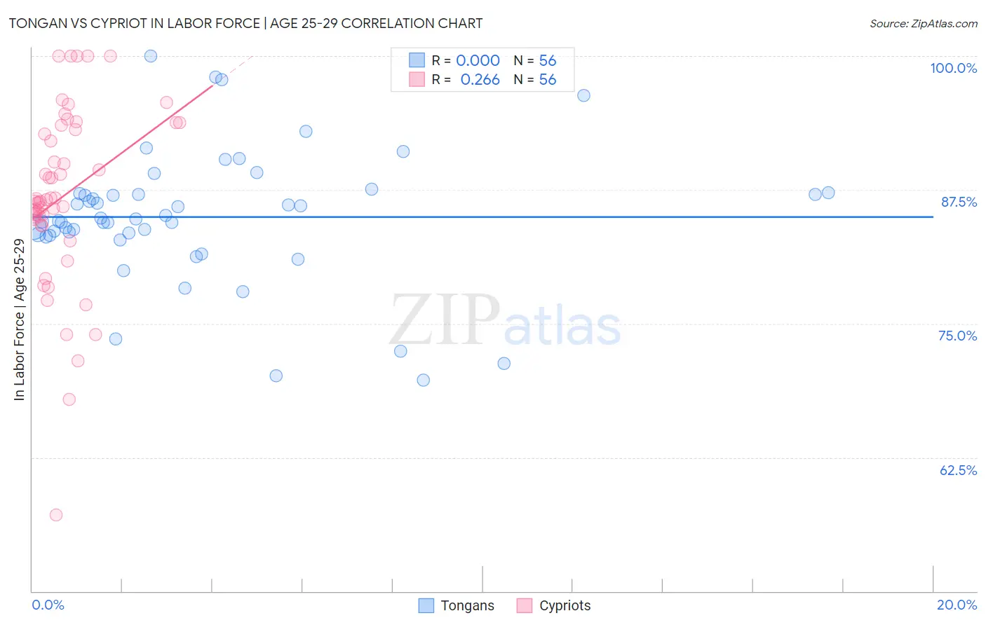 Tongan vs Cypriot In Labor Force | Age 25-29