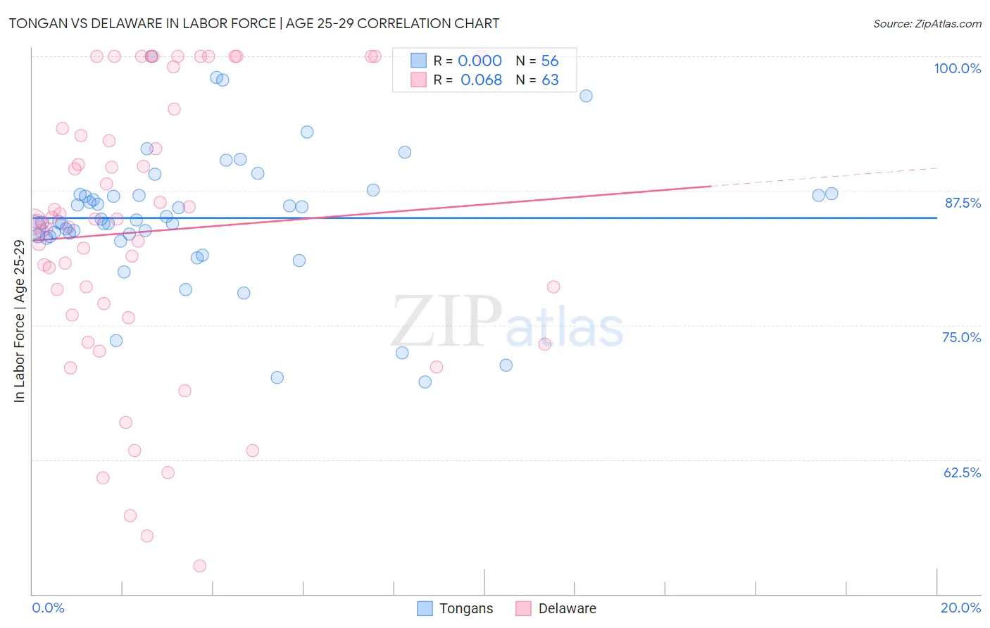 Tongan vs Delaware In Labor Force | Age 25-29