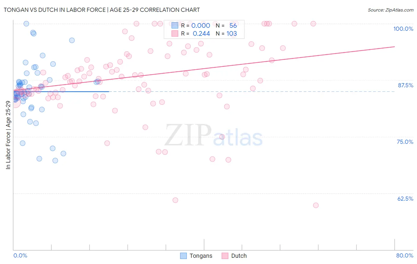 Tongan vs Dutch In Labor Force | Age 25-29