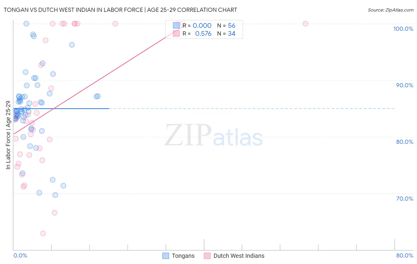 Tongan vs Dutch West Indian In Labor Force | Age 25-29