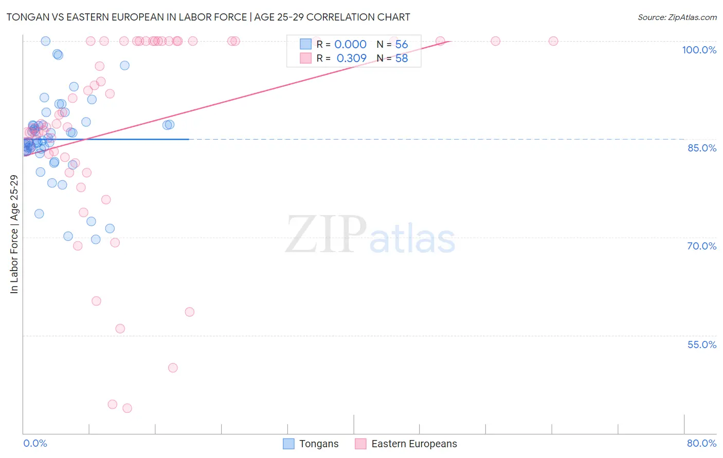 Tongan vs Eastern European In Labor Force | Age 25-29
