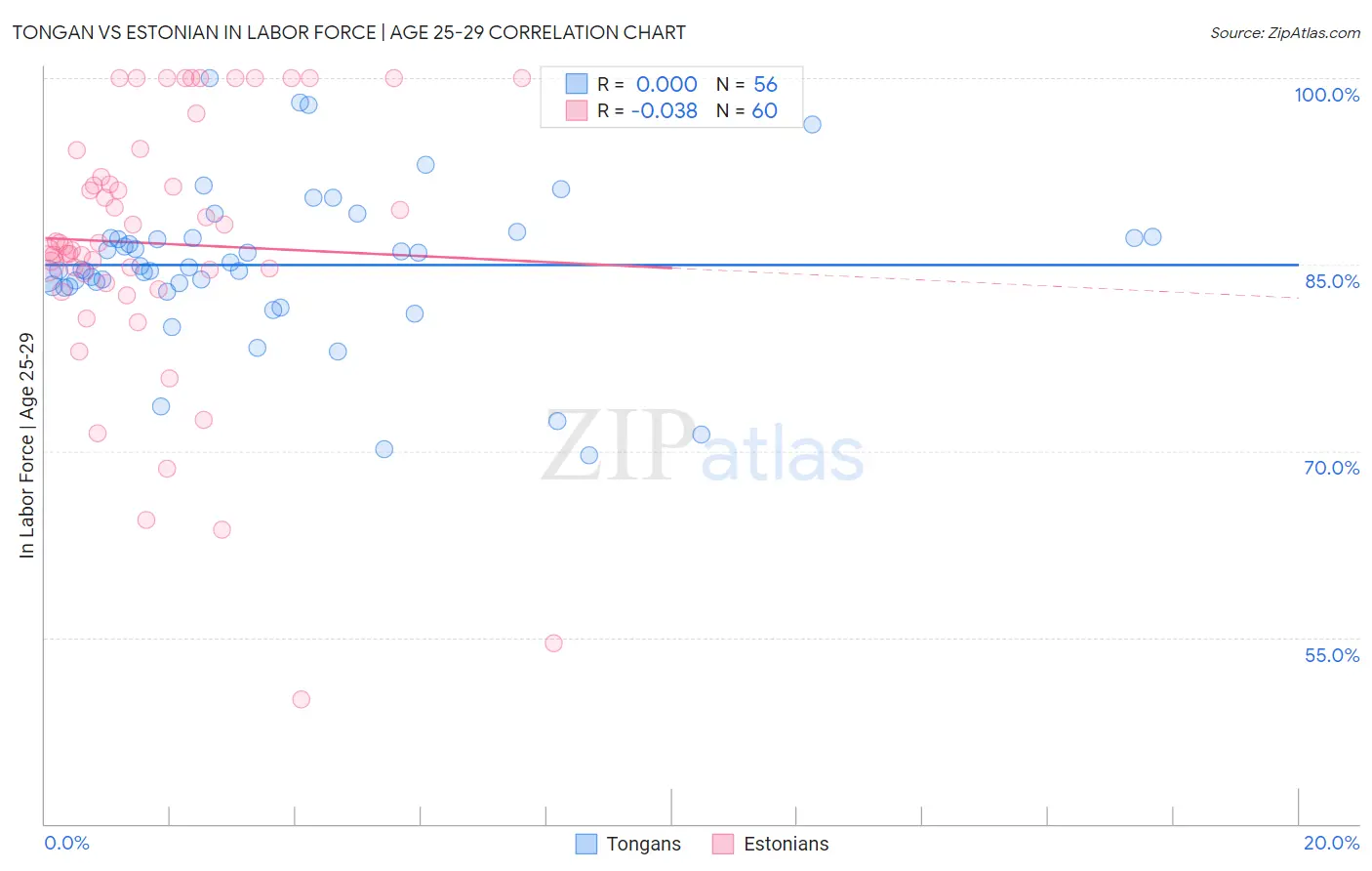 Tongan vs Estonian In Labor Force | Age 25-29