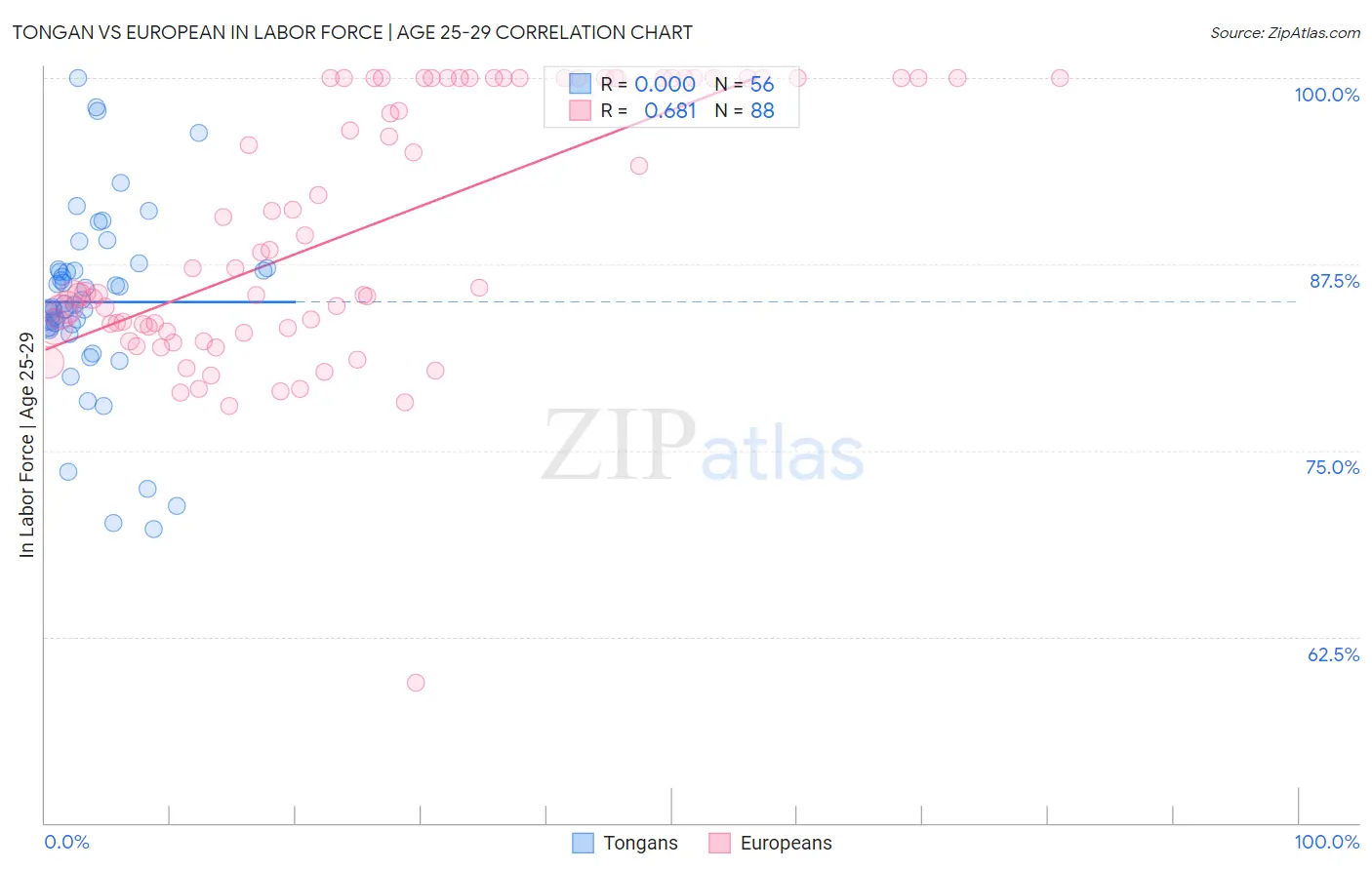 Tongan vs European In Labor Force | Age 25-29