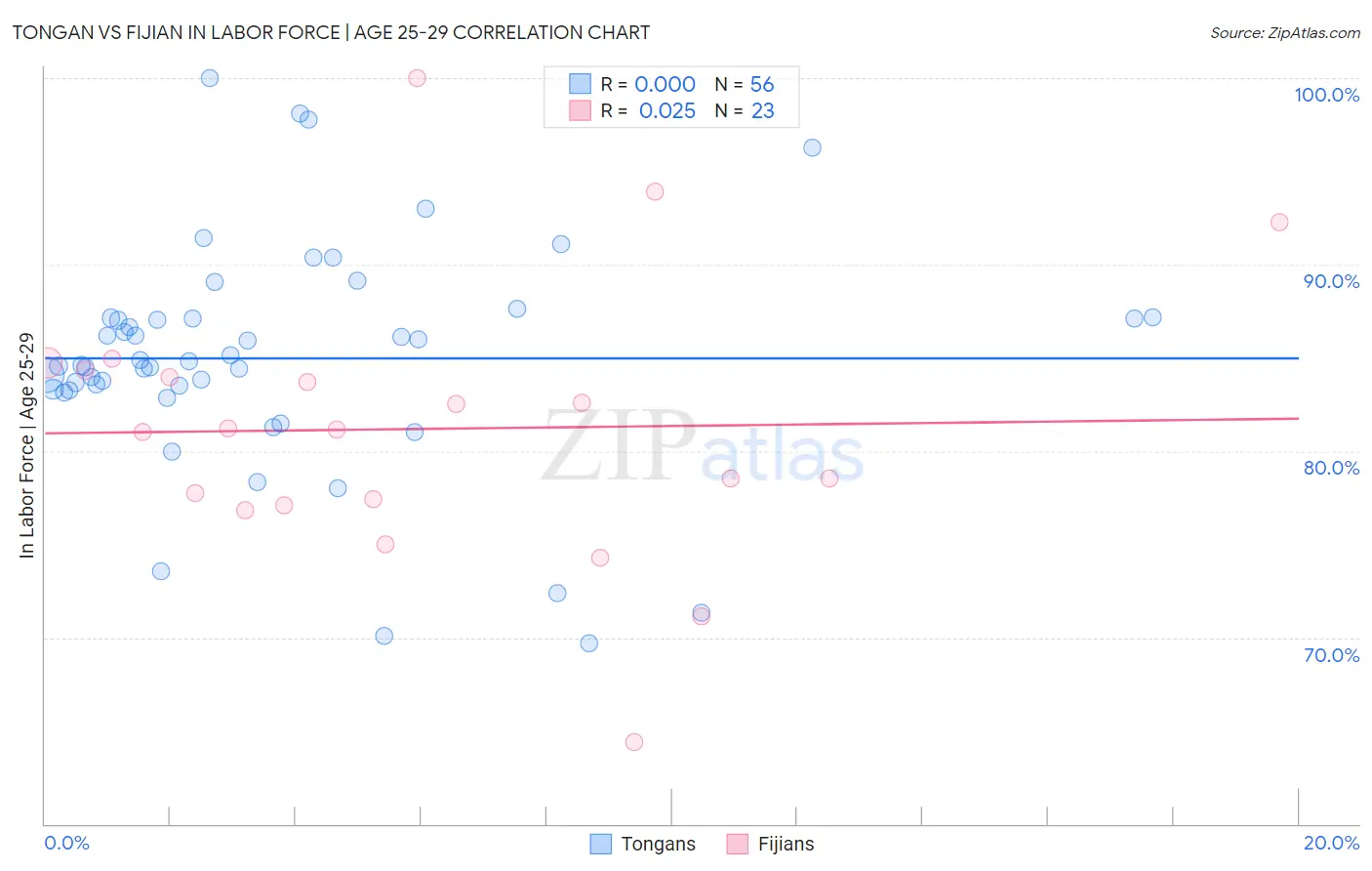 Tongan vs Fijian In Labor Force | Age 25-29