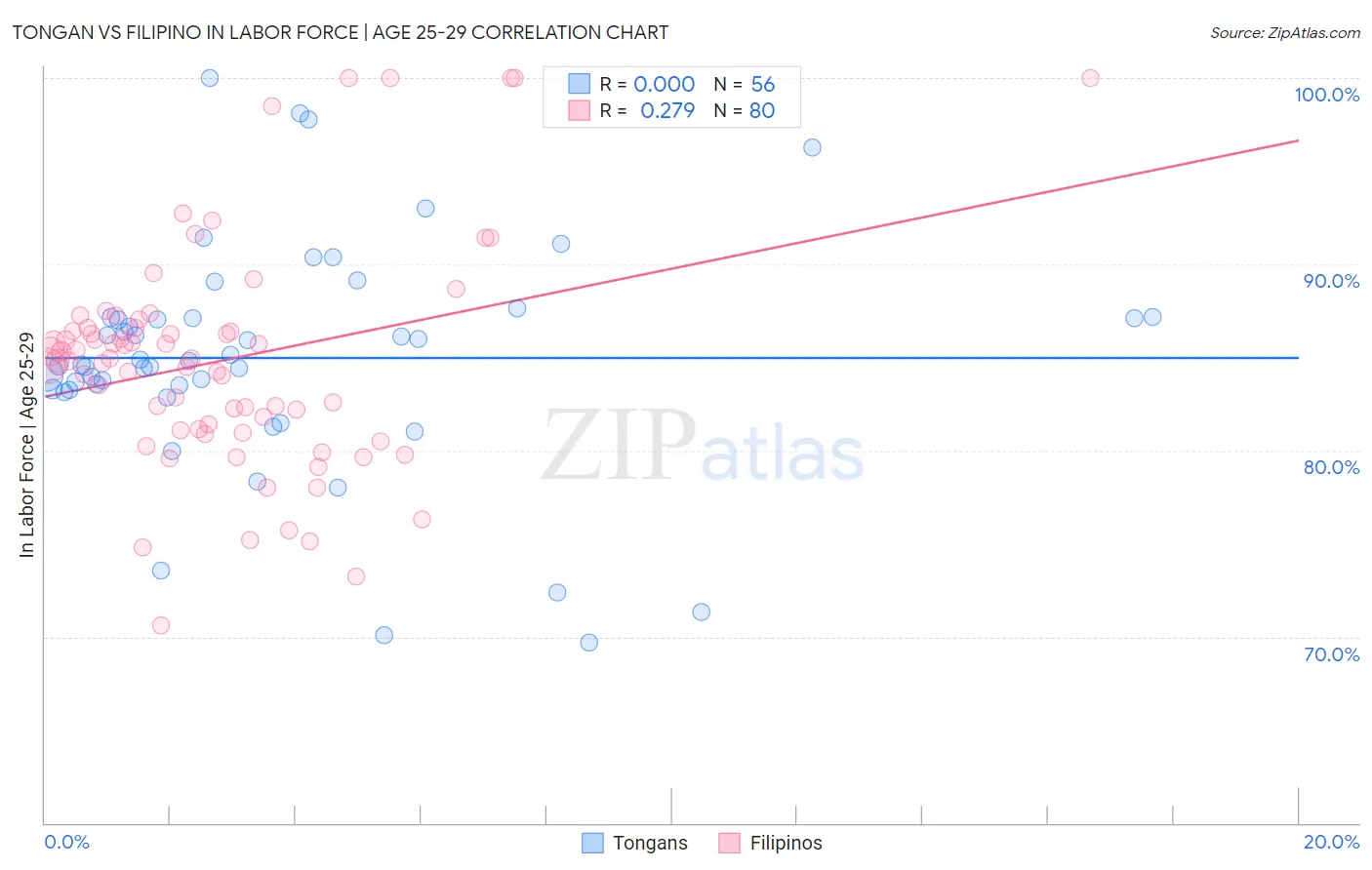 Tongan vs Filipino In Labor Force | Age 25-29
