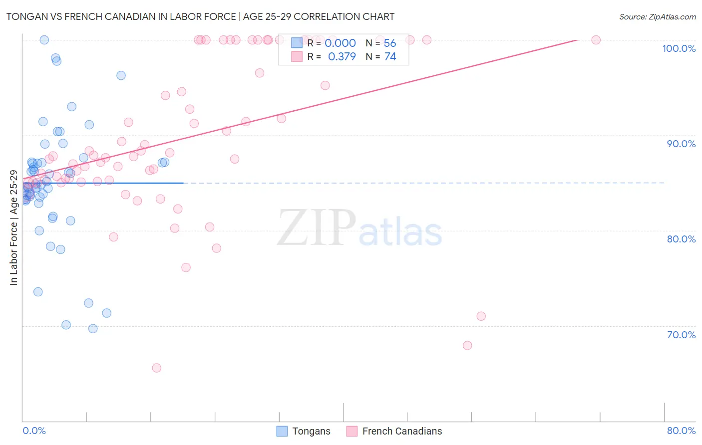 Tongan vs French Canadian In Labor Force | Age 25-29