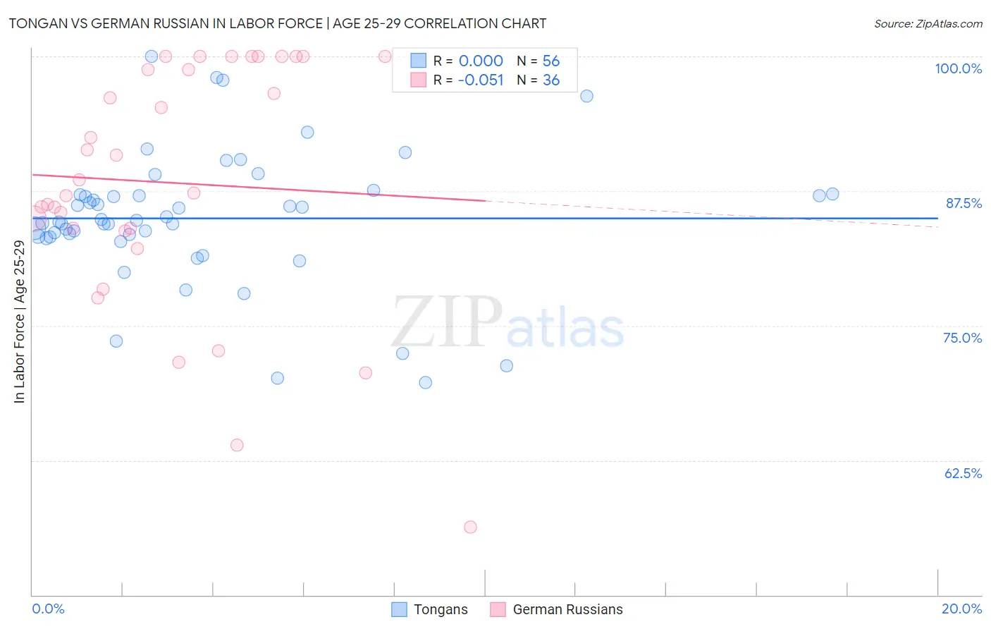 Tongan vs German Russian In Labor Force | Age 25-29
